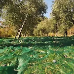 Roccagelli Farma Vallo di Nera