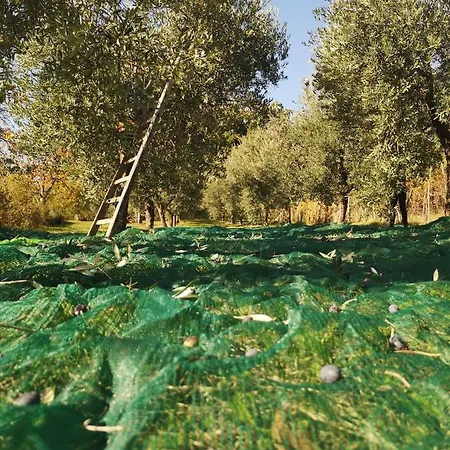 Roccagelli Farmház Vallo di Nera
