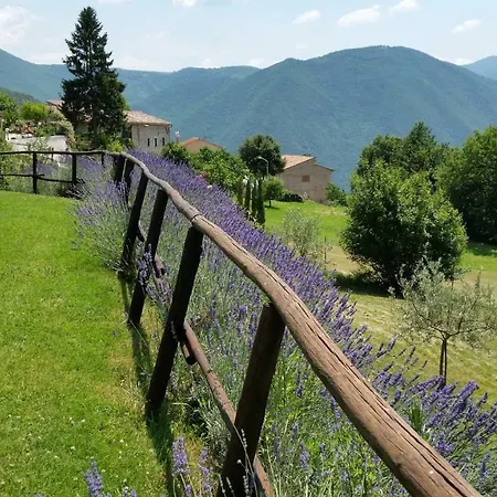 Farm stay Roccagelli Vallo di Nera