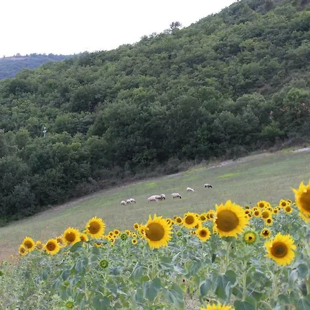 Farm stay Roccagelli
