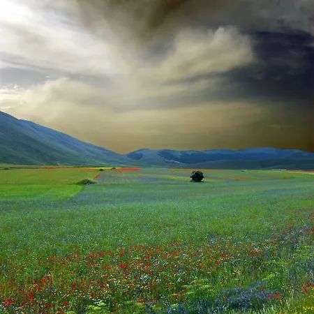 Roccagelli Vallo di Nera