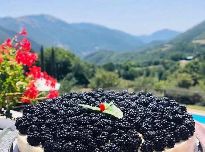 ファームステイ Roccagelli *