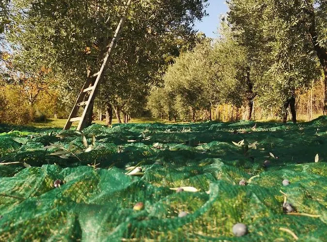 Roccagelli ファームステイ Vallo di Nera