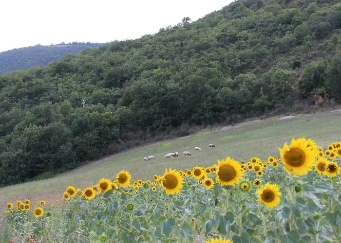 ファームステイ Roccagelli