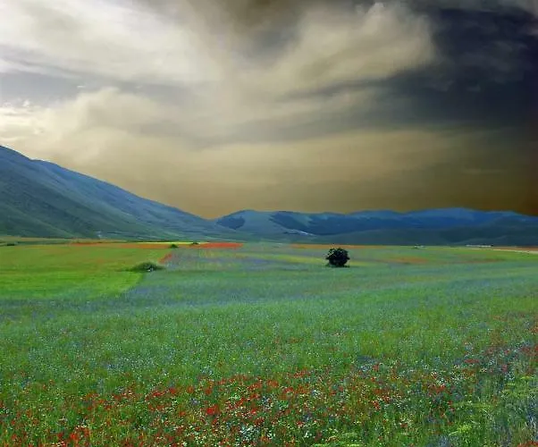 Roccagelli Vallo di Nera